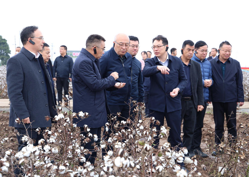 2025�����ʡ�������ֳ���Ħ��������ѵ���ڻ����ٿ�