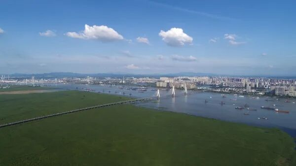 δ��5�꣬���������������