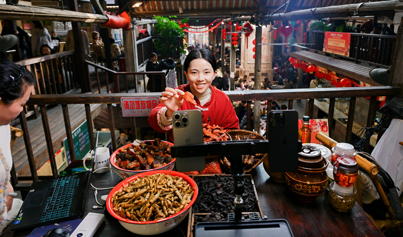 ��������ζŨ�� 2026�����������������