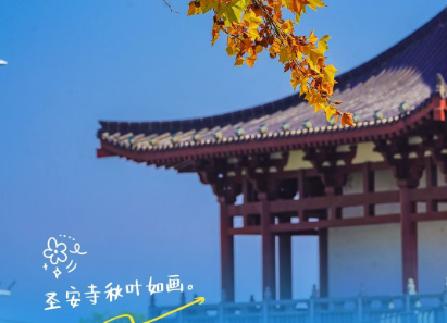 �����򿨣�ץס�����ġ��𡱲�˲��