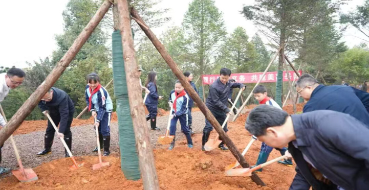 ������չ����ֲ���