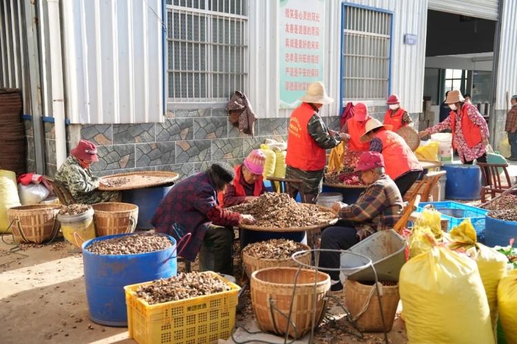 ����ե��æ ������� Ʈ�㸻ũ��