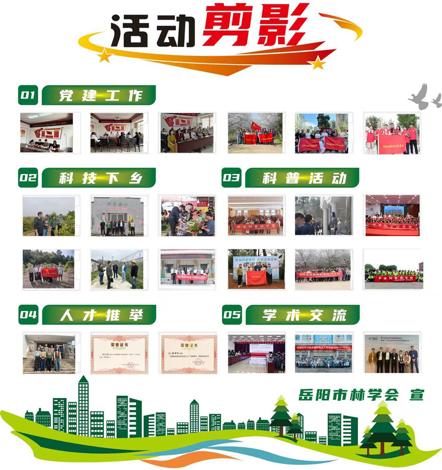 ��������ѧ��