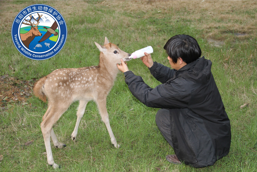 ������Ұ�����ﱣ��Э��