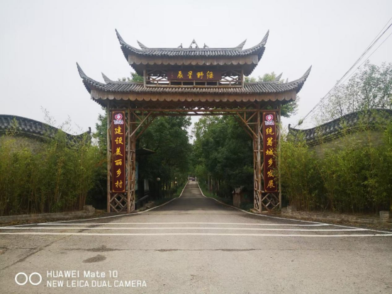 ��Ұ�ǳ����ջ���