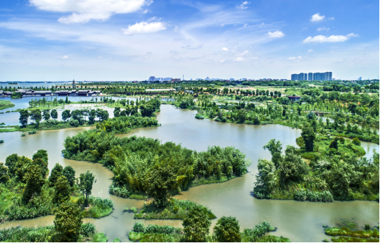 ��ɳ��ʪ�ع�԰