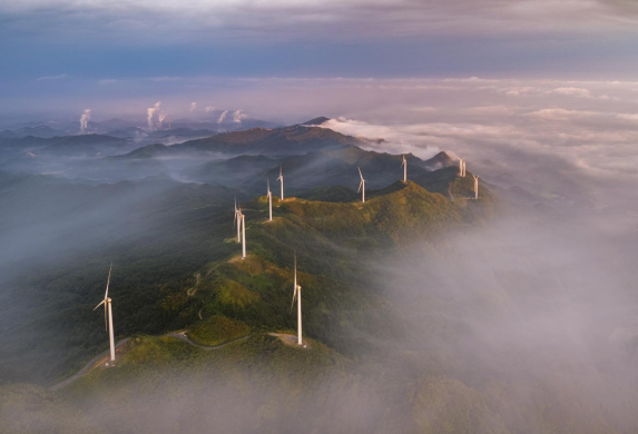 ���ɽɭ����̬�Ļ�������