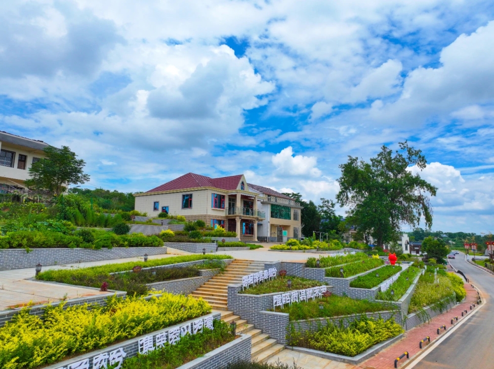 �Ӳ�̶�Ļ�������