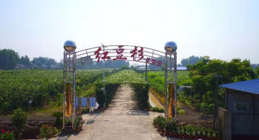 �������·�ũҵ�������޹�˾