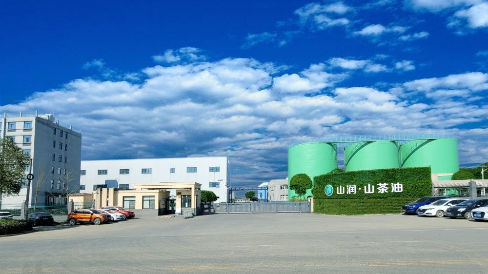 ɽ��ɽ������ѧ����